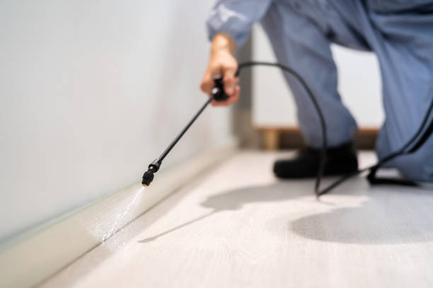Licensed Rodent Control service in Beaver County County, OK - Nex Pest Control